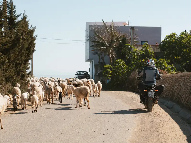 Comment optimiser un roadbook en moto ?